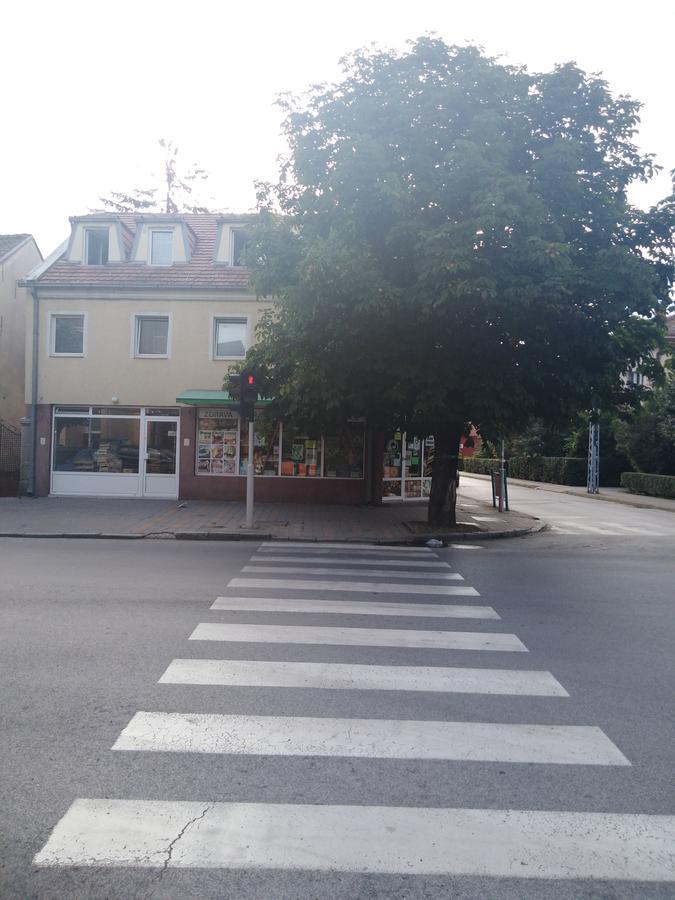 فيلا Veliki Park Šabac المظهر الخارجي الصورة