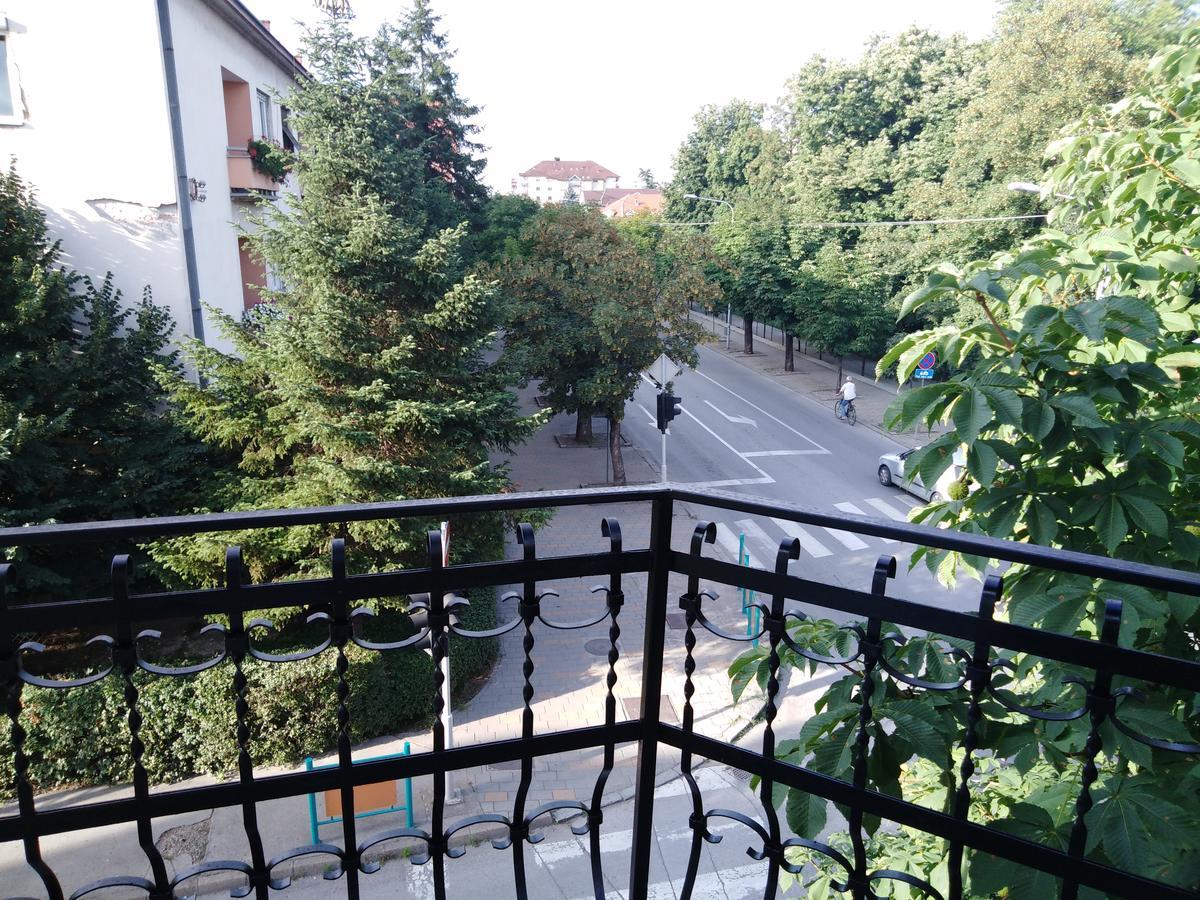 فيلا Veliki Park Šabac المظهر الخارجي الصورة